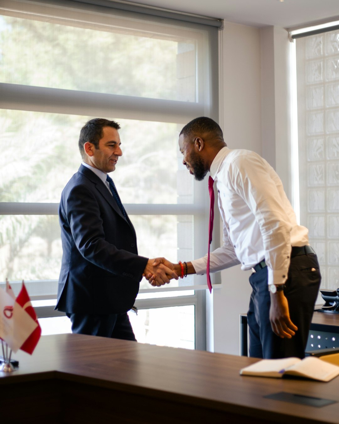 handshake between colleagues